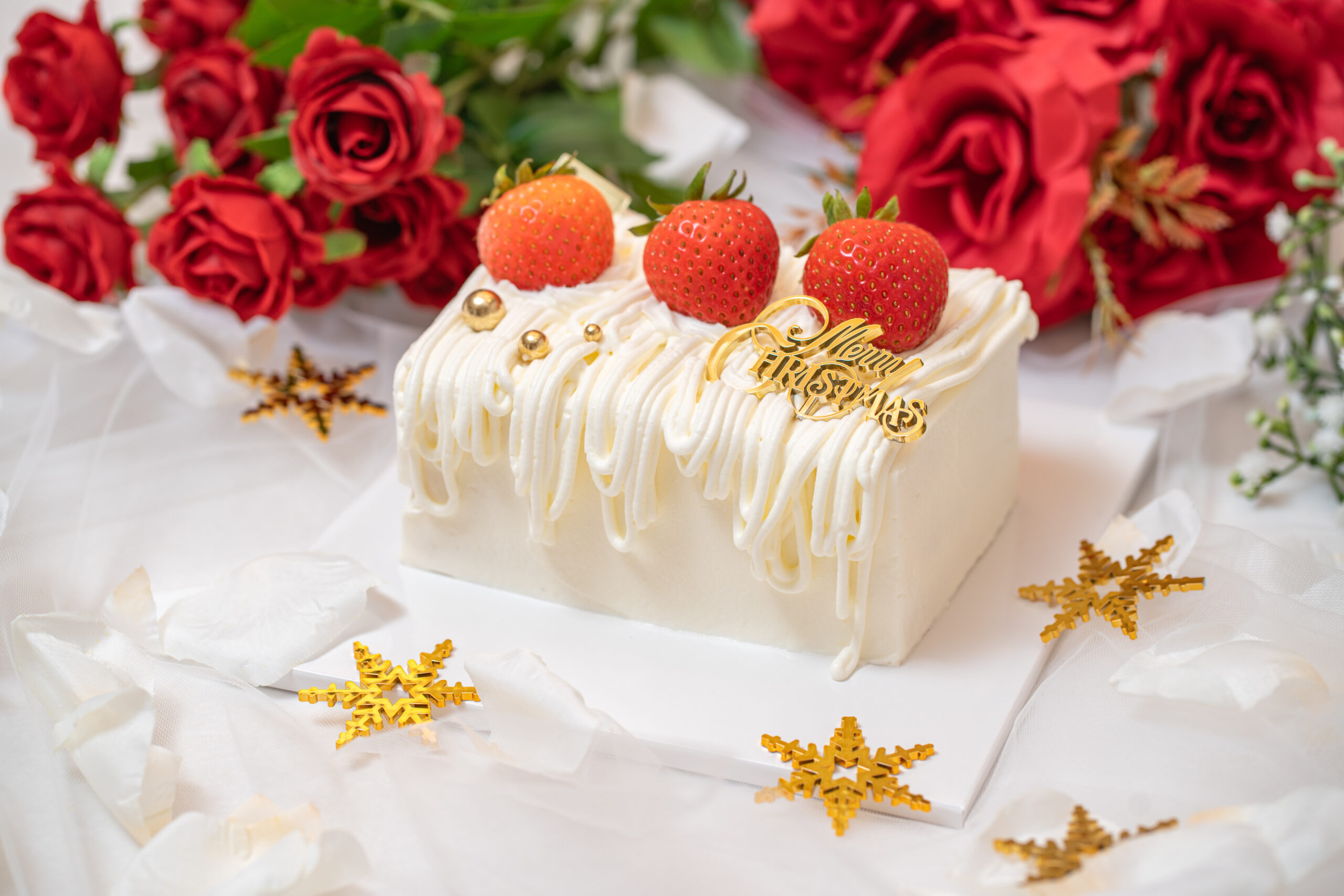 2025christmas-squarecake